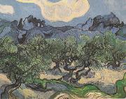 Vincent Van Gogh Olive Trees with the Alpilles in the Background (nn04) USA oil painting reproduction